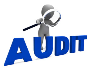 Audit Character Meaning Validation Auditor Or Scrutiny