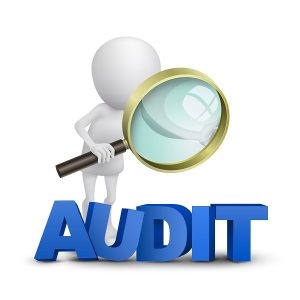 What Causes an IRS Tax Audit?